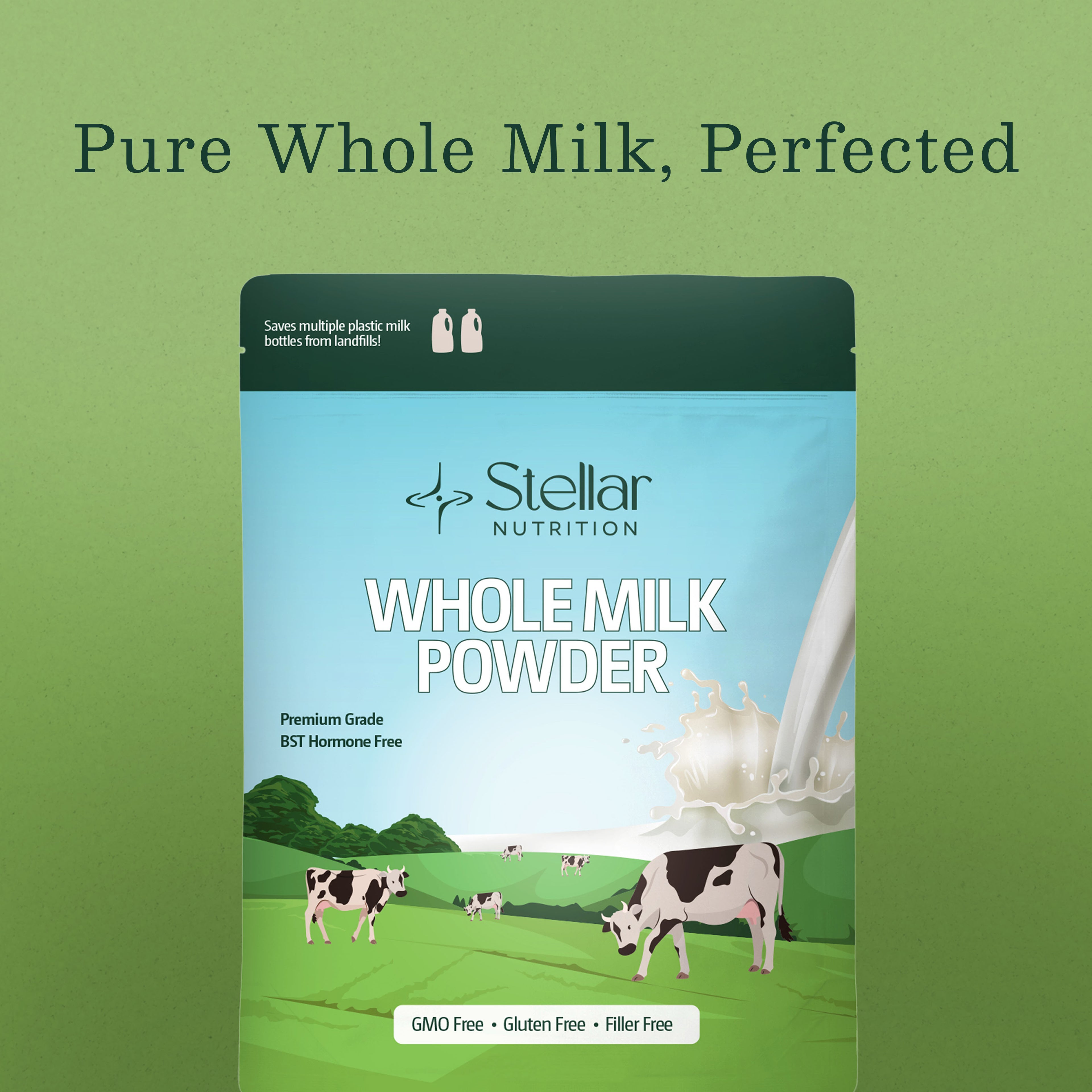 Whole Milk Powder | Non-GMO